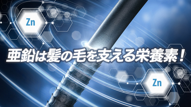 亜鉛は髪の毛を支える栄養素！