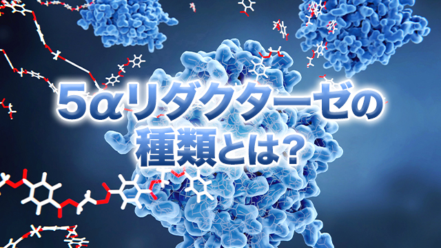 コラム｜薄毛・抜け毛治療ならAGAオンラインクリニック（オンクリ） 5x AGA5 AGA-5 (BP/AGA-5、BK/AGA-5) 5A 125V 速断ガラスヒューズ 6.3x15.9mm -