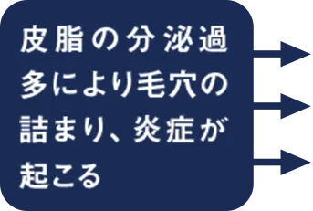 皮脂の分泌過多により毛穴の詰まり、炎症が起こる