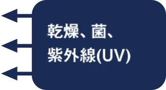 乾燥、菌、紫外線(UV)