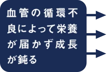 血管の循環不良によって栄養が届かず成長が鈍る