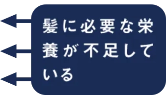 髪に必要な栄養が不足している