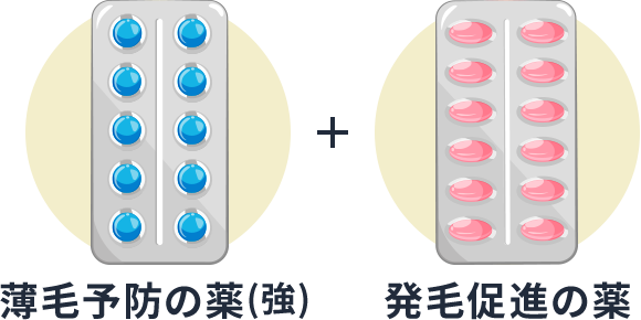 薄毛予防薬(強)+発毛促進薬